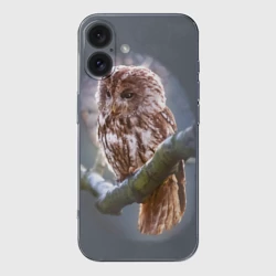 Чехол для iPhone 16 силиконовый с защитой камеры Сова