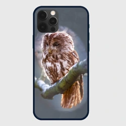 Чехол для iPhone 12 Pro Сова