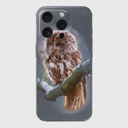 Чехол для iPhone 15 Pro Max силиконовый с защитой камеры Сова
