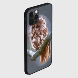Чехол для iPhone 12 Pro Сова - фото 2