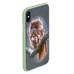 Чехол для iPhone XS Max матовый Сова - фото 2