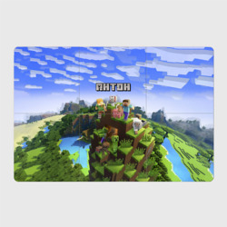 Магнитный плакат 3Х2 Антон - Minecraft
