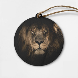 Деревянная игрушка круг Лев