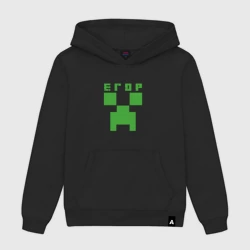 Мужская толстовка хлопок Егор - Minecraft