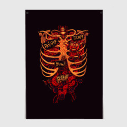 Постер Человеческий скелет