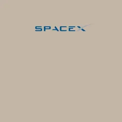 Мужской свитшот хлопок Spacex - фото 2