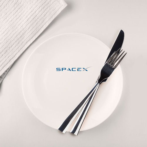 Тарелка Spacex - фото 2