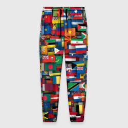 Мужские брюки 3D Флаги всех стран