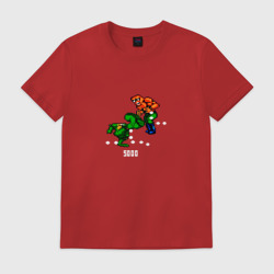 Мужская футболка хлопок Battletoads