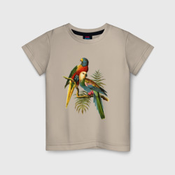 Детская футболка хлопок Попугаи
