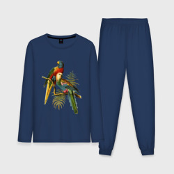 Мужская пижама с лонгсливом хлопок Попугаи