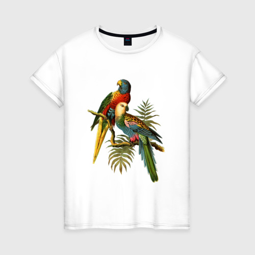Женская футболка из хлопка с принтом Попугаи, вид спереди №1