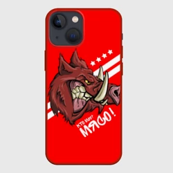 Чехол для iPhone 13 mini Кто мы? Мясо!