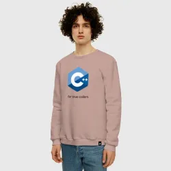 Мужской свитшот хлопок C++ for true coders - фото 2
