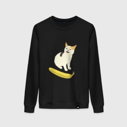 Cat no banana