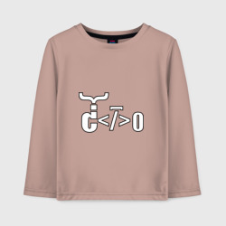 Детский лонгслив хлопок Велосипед программиста