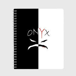Тетрадь Onyx