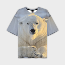 Мужская футболка oversize 3D Медведь