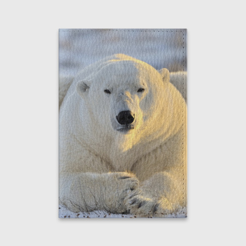 Обложка для паспорта матовая кожа Медведь, цвет оранжевый