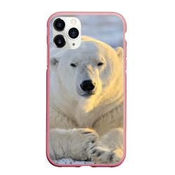 Чехол для iPhone 11 Pro Max матовый Медведь