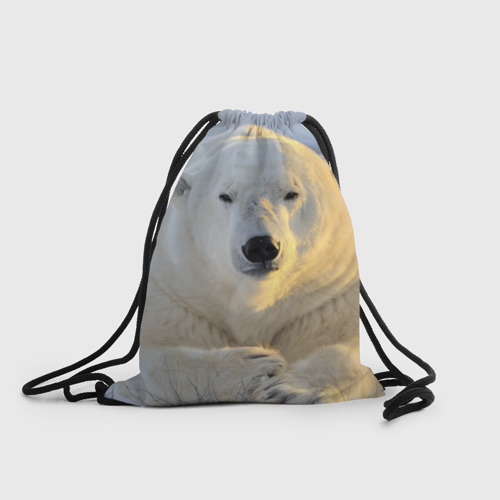 Рюкзак-мешок 3D Медведь