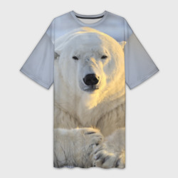 Платье-футболка 3D Медведь