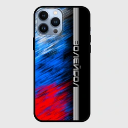 Чехол для iPhone 13 Pro Max Волейбол