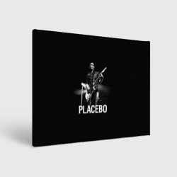 Холст прямоугольный Placebo