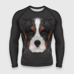 Мужской рашгард 3D Cavalier King Charles