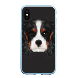 Чехол для iPhone XS Max матовый Cavalier King Charles