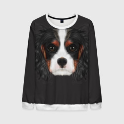 Мужской свитшот 3D Cavalier King Charles