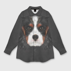 Мужская рубашка oversize 3D Cavalier King Charles