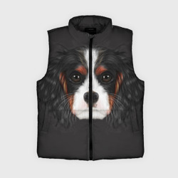 Женский жилет утепленный 3D Cavalier King Charles