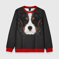 Детский свитшот 3D Cavalier King Charles