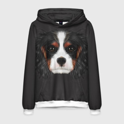 Мужская толстовка 3D Cavalier King Charles