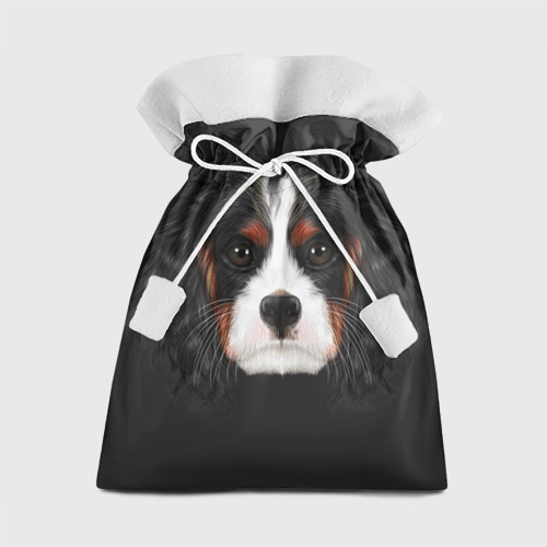 Подарочный 3D мешок Cavalier King Charles