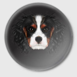 Значок Cavalier King Charles