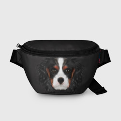 Поясная сумка 3D Cavalier King Charles