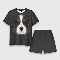 Мужской костюм с шортами 3D Cavalier King Charles