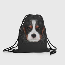 Рюкзак-мешок 3D Cavalier King Charles