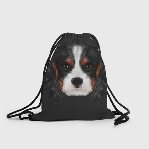 Рюкзак-мешок 3D Cavalier King Charles