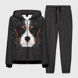 Мужской костюм 3D Cavalier King Charles