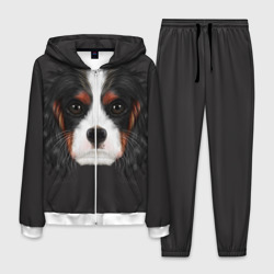 Мужской костюм 3D Cavalier King Charles