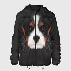 Мужская куртка 3D Cavalier King Charles