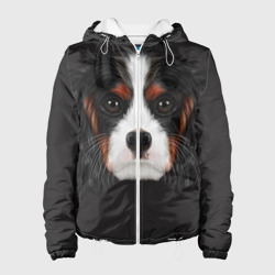 Женская куртка 3D Cavalier King Charles