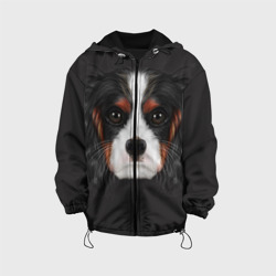 Детская куртка 3D Cavalier King Charles