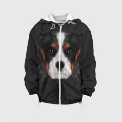 Детская куртка 3D Cavalier King Charles