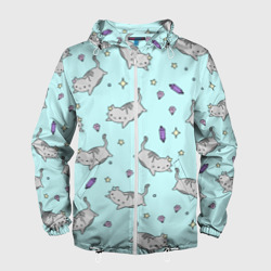 Мужская ветровка 3D Кавайные котики