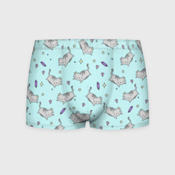 Мужские трусы 3D Кавайные котики