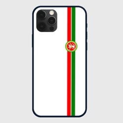 Чехол для iPhone 12 Pro Max Республика Татарстан
